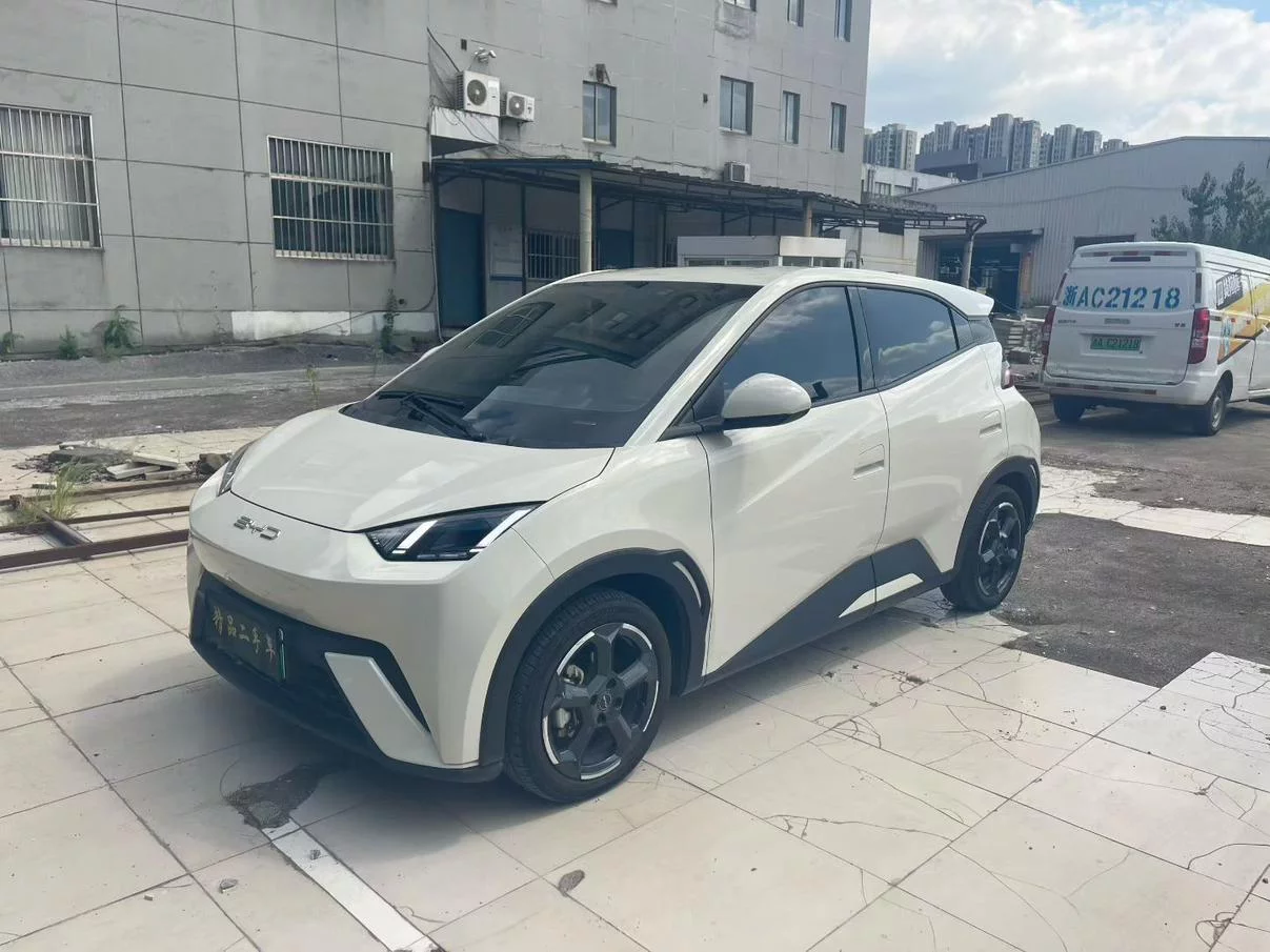 BYD Seagull