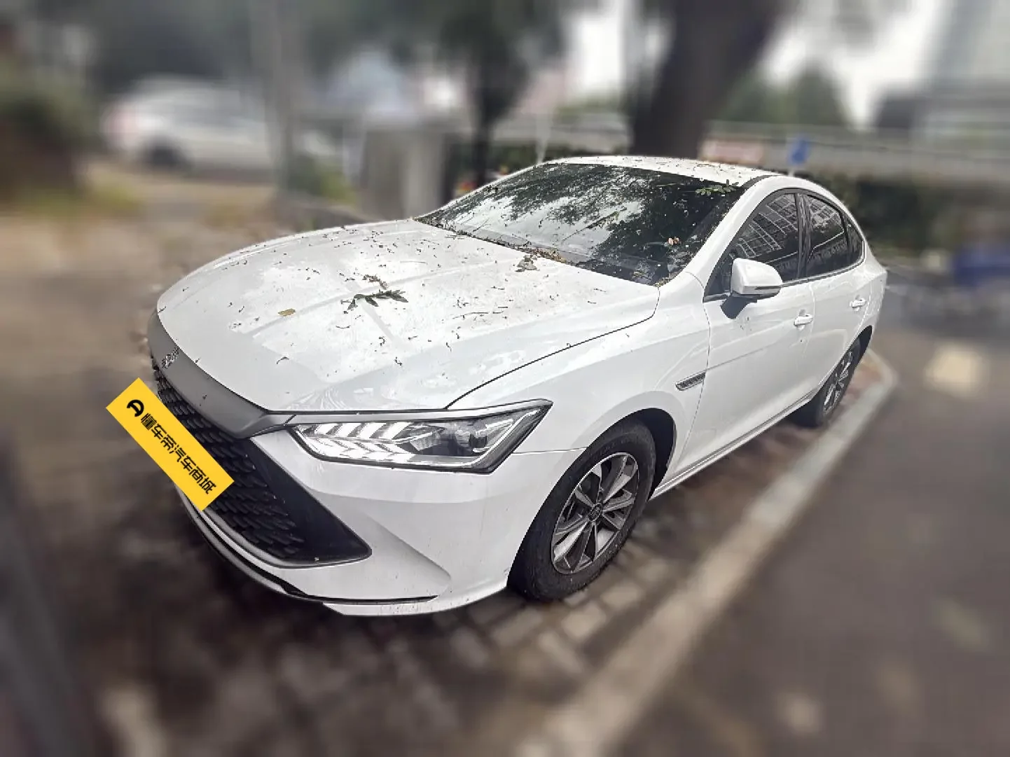BYD Qin PLUS DM