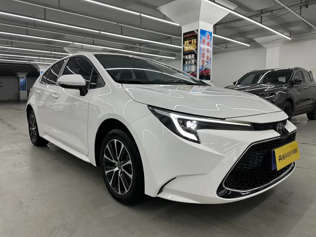Toyota Levin