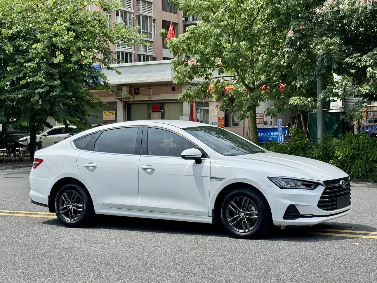 BYD Qin Pro
