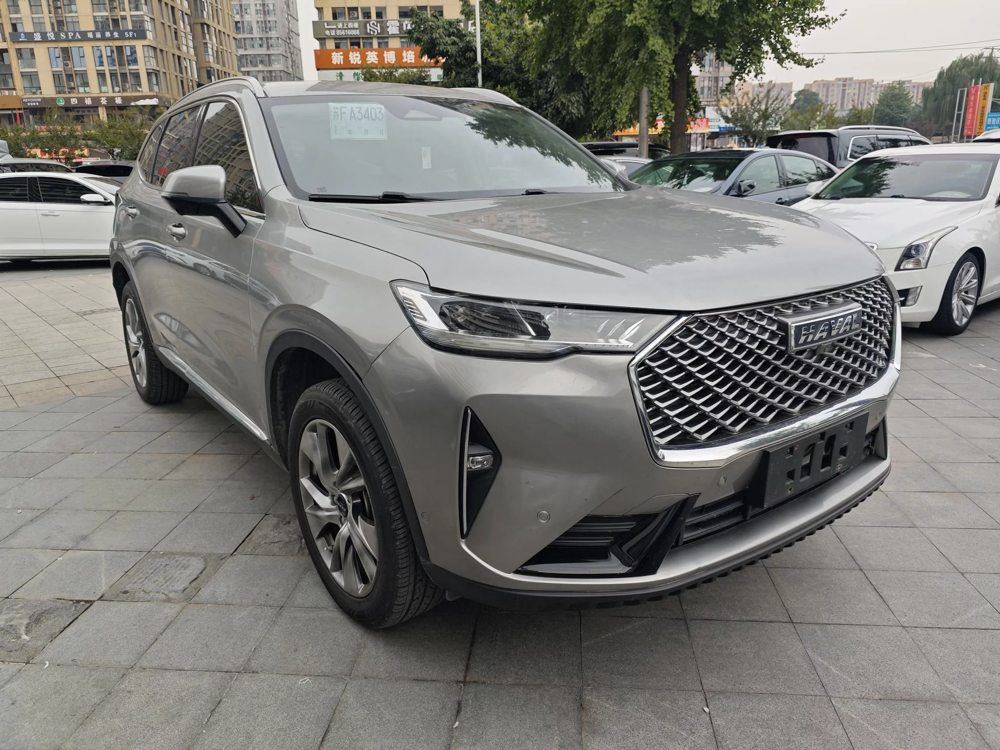Haval H6