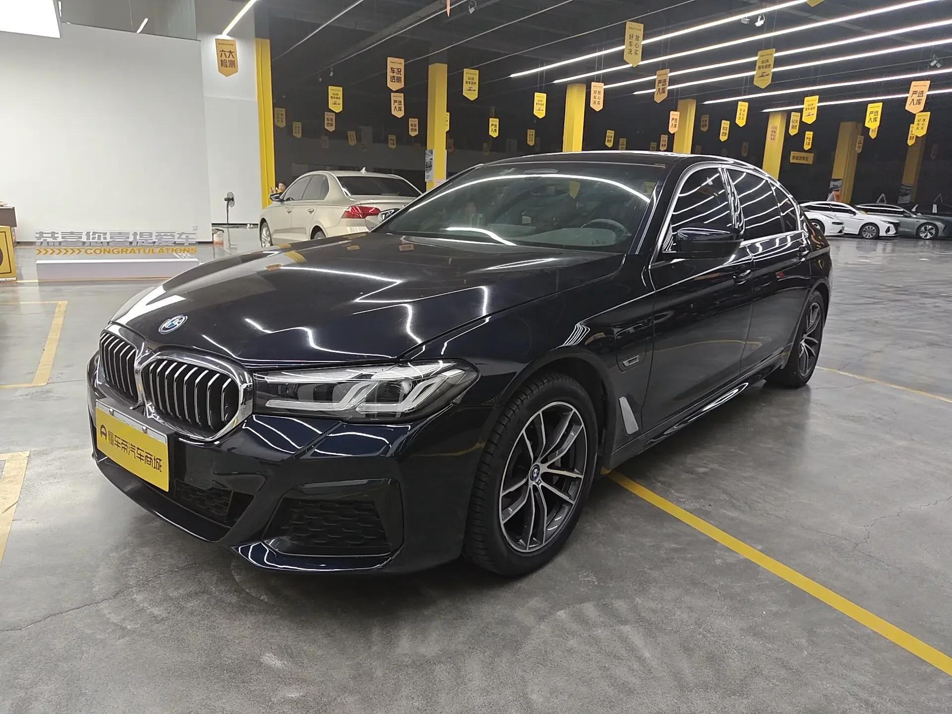 BMW 5 Series PHEV