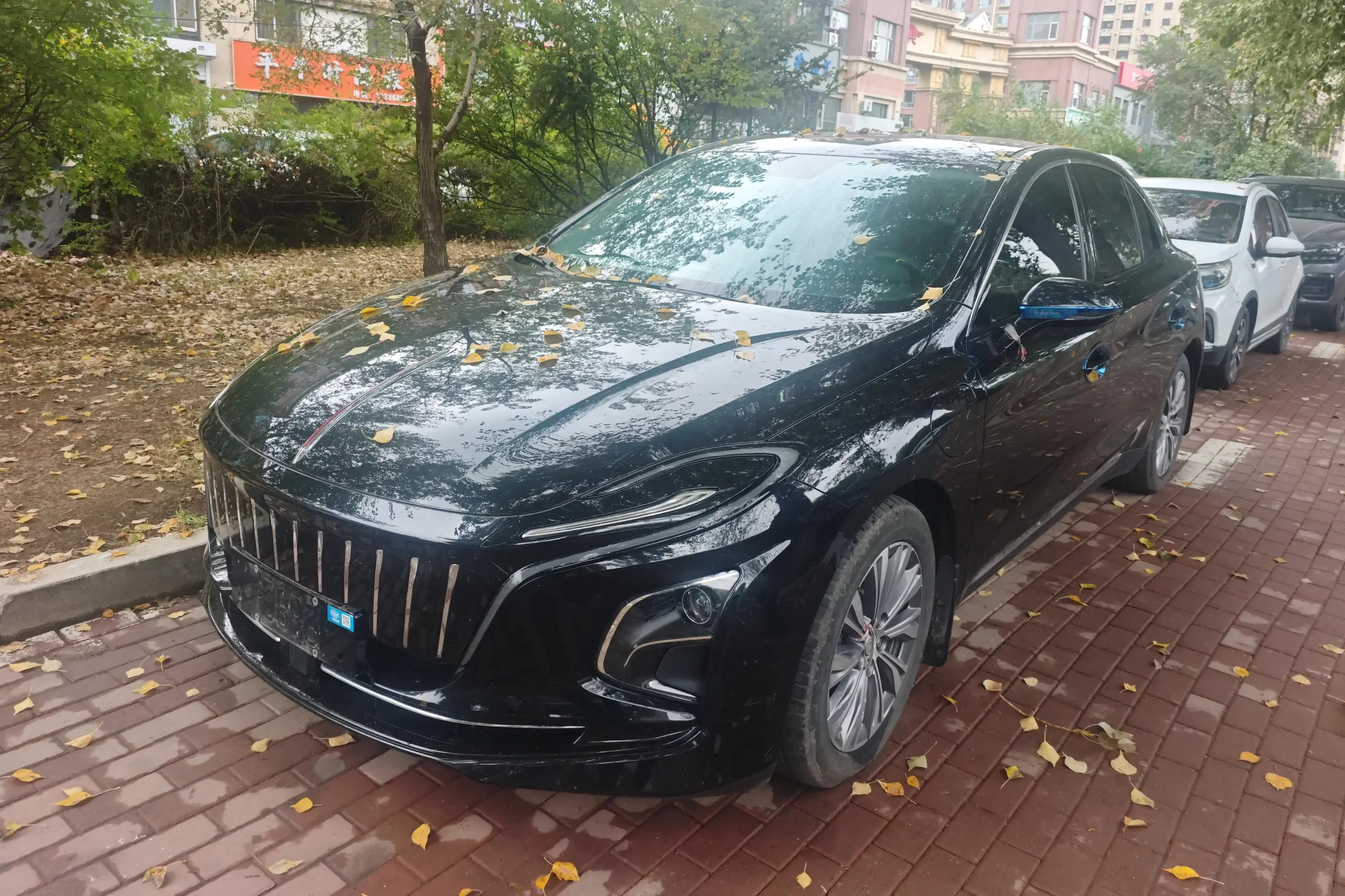 Hongqi E-QM5