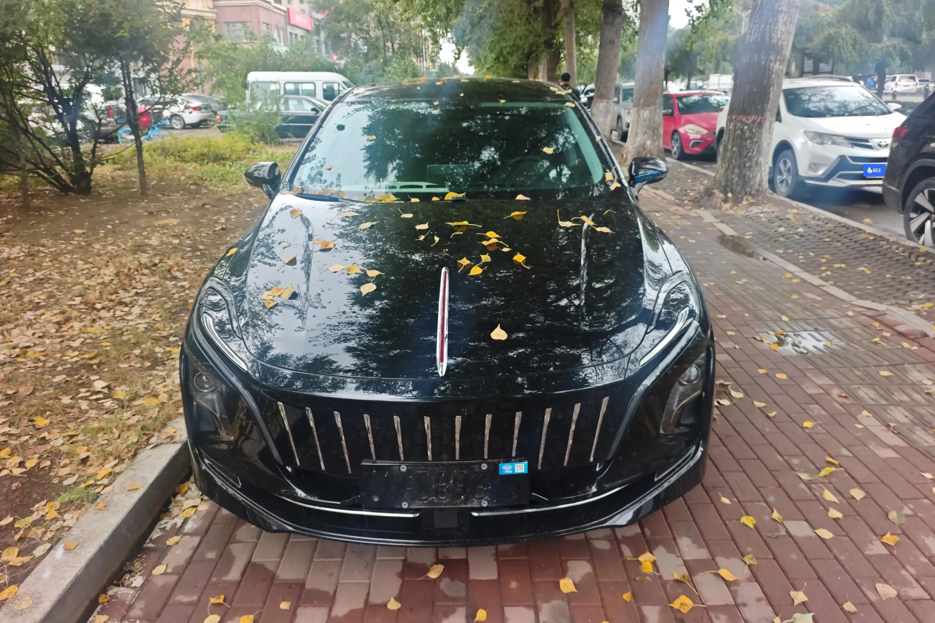 Hongqi E-QM5