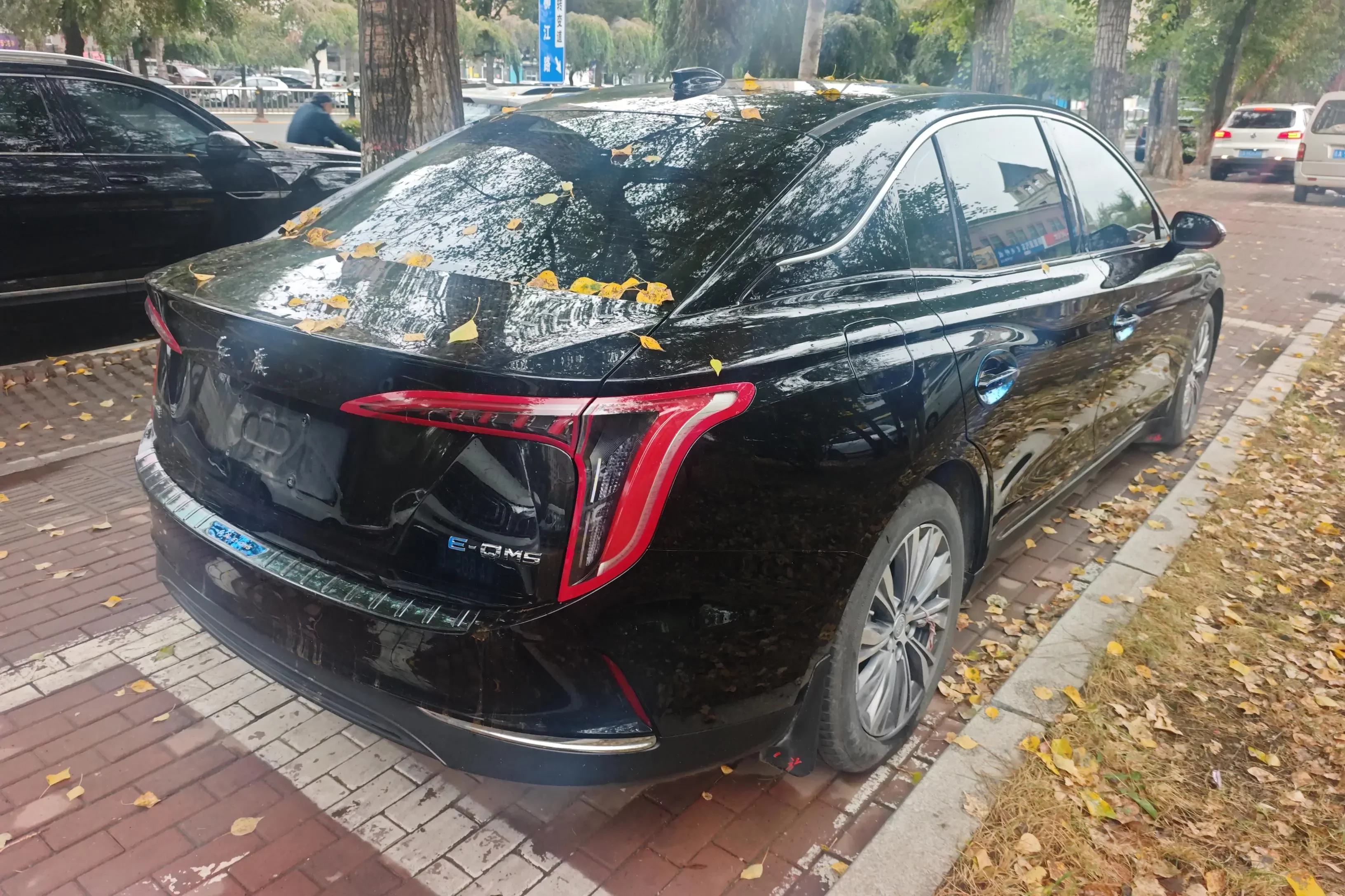 Hongqi E-QM5