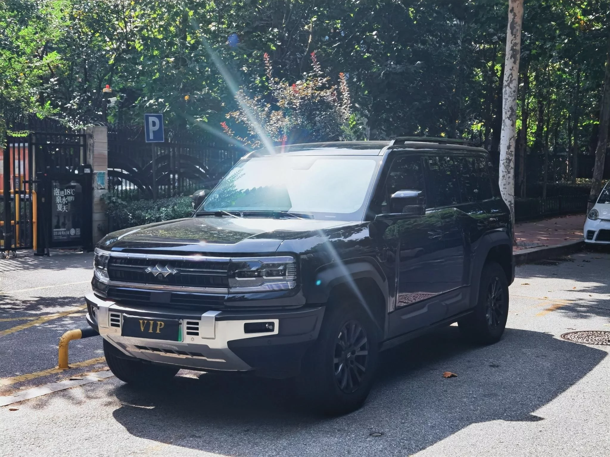 BYD Leopard Leopard 5
