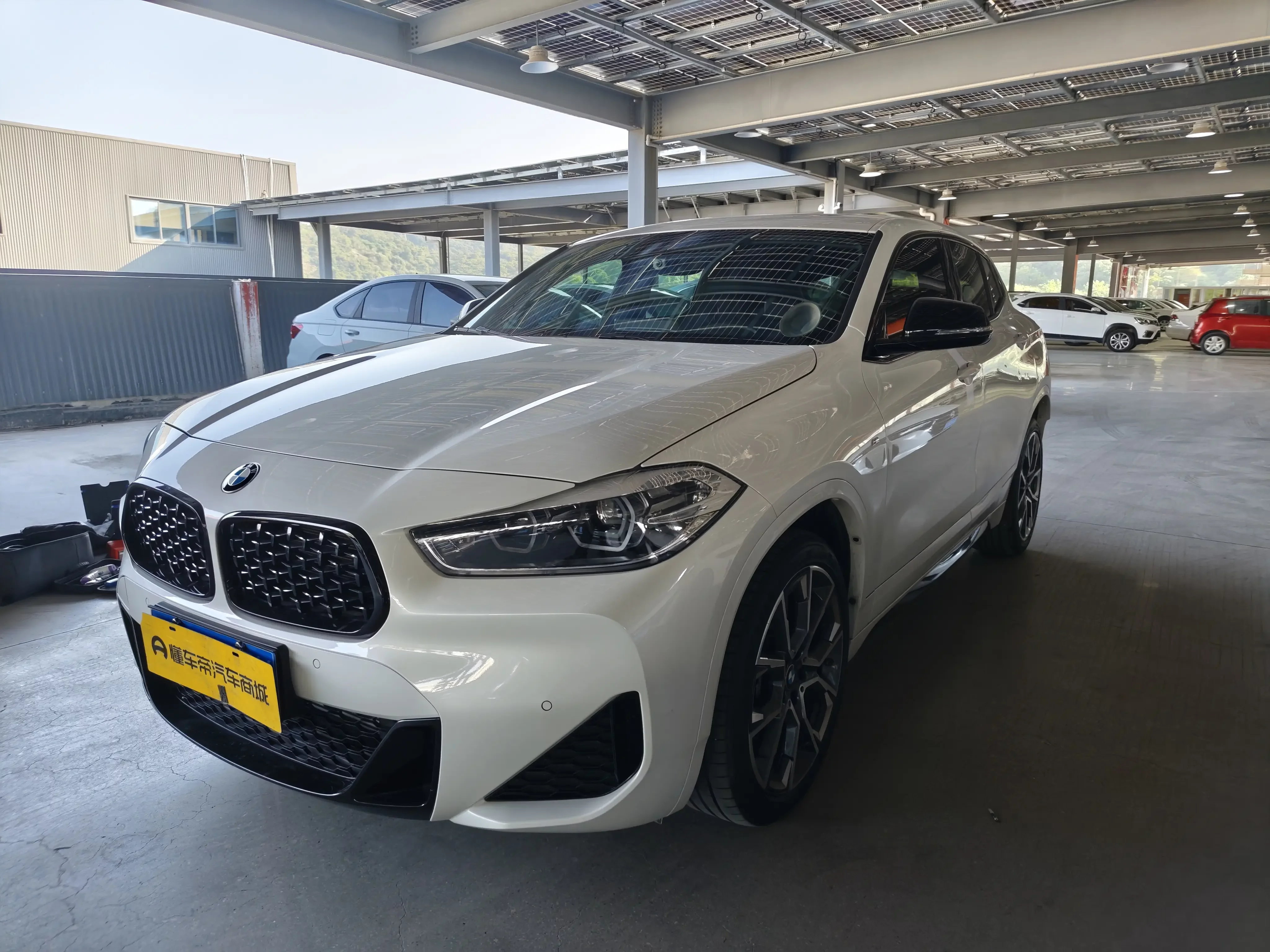 BMW X2