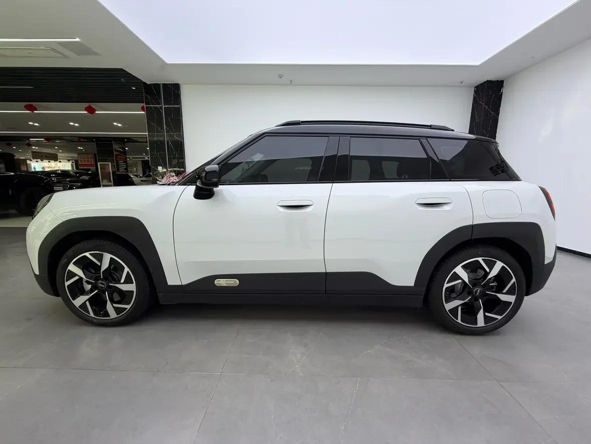 MINI ELECTRIC MINI ACEMAN