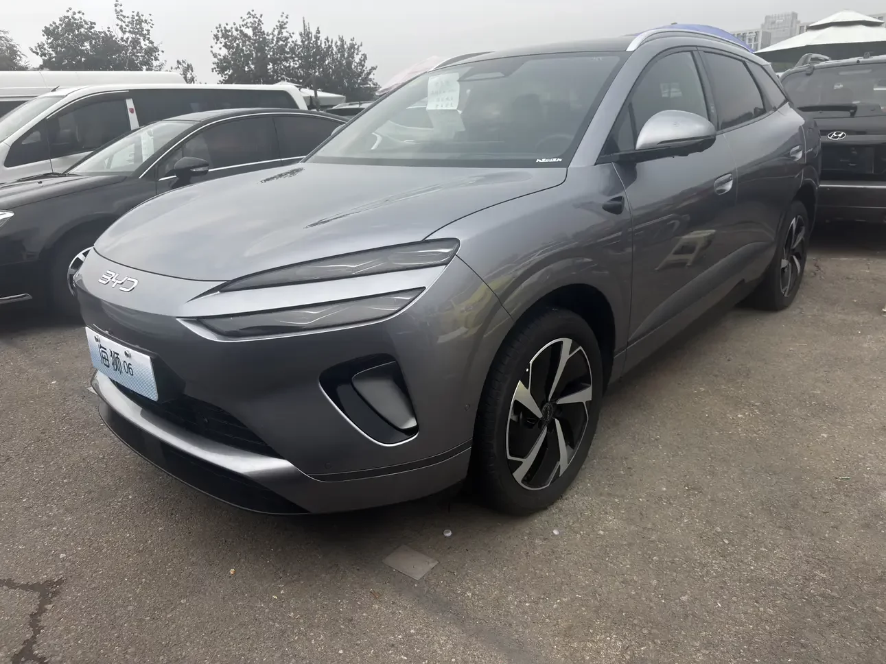 BYD Sea Lion 06DM