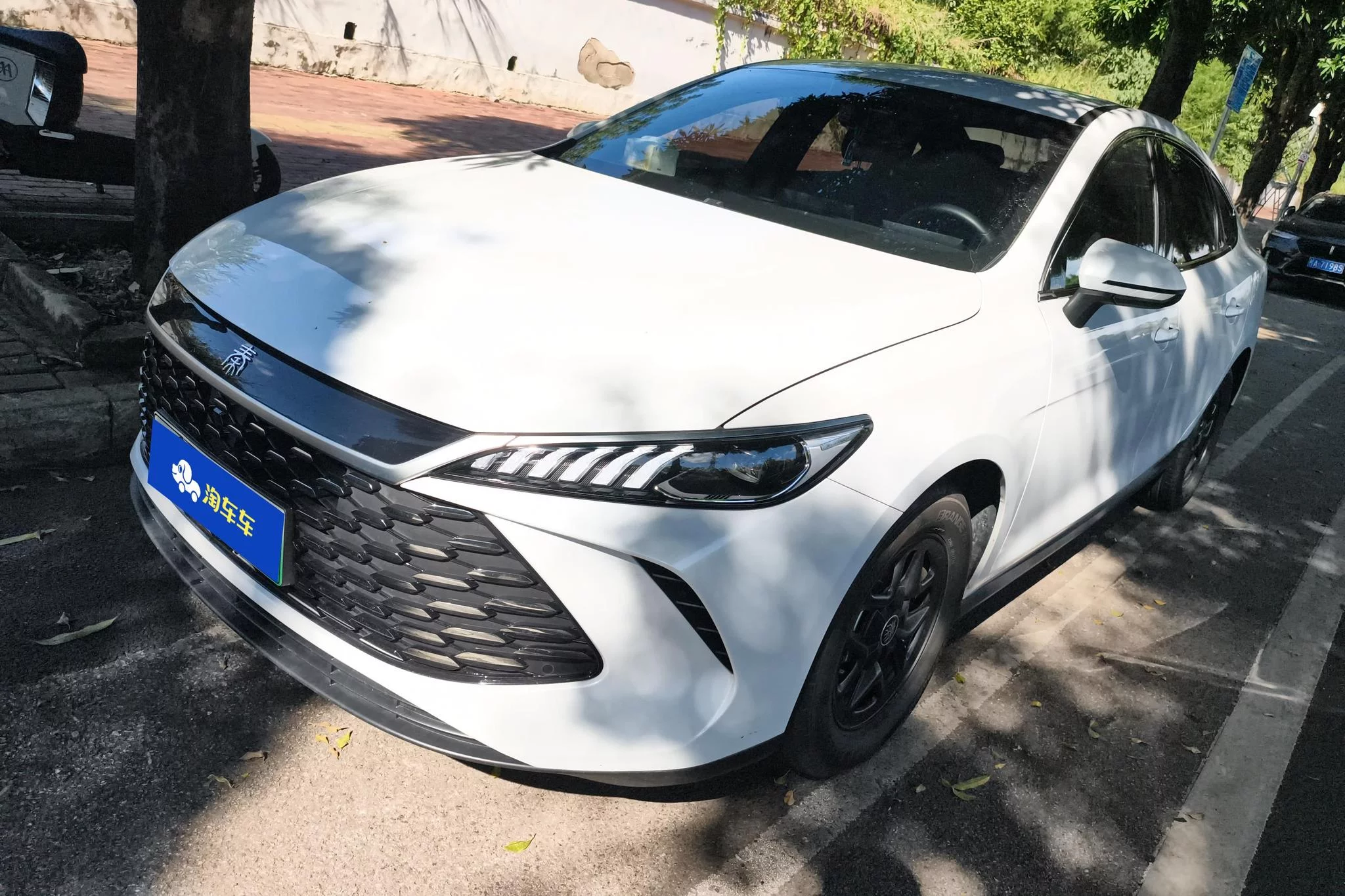 BYD Qin PLUS DM