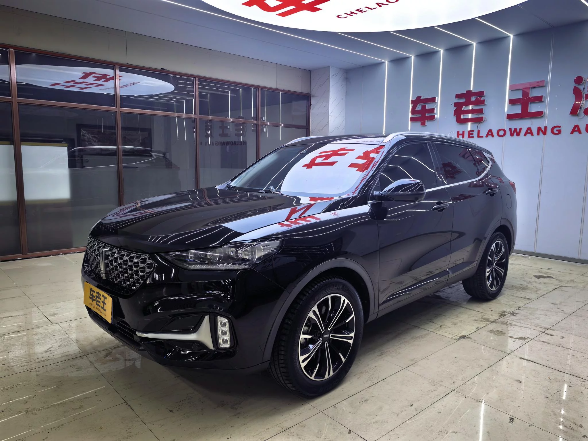Wey Wei brand VV6