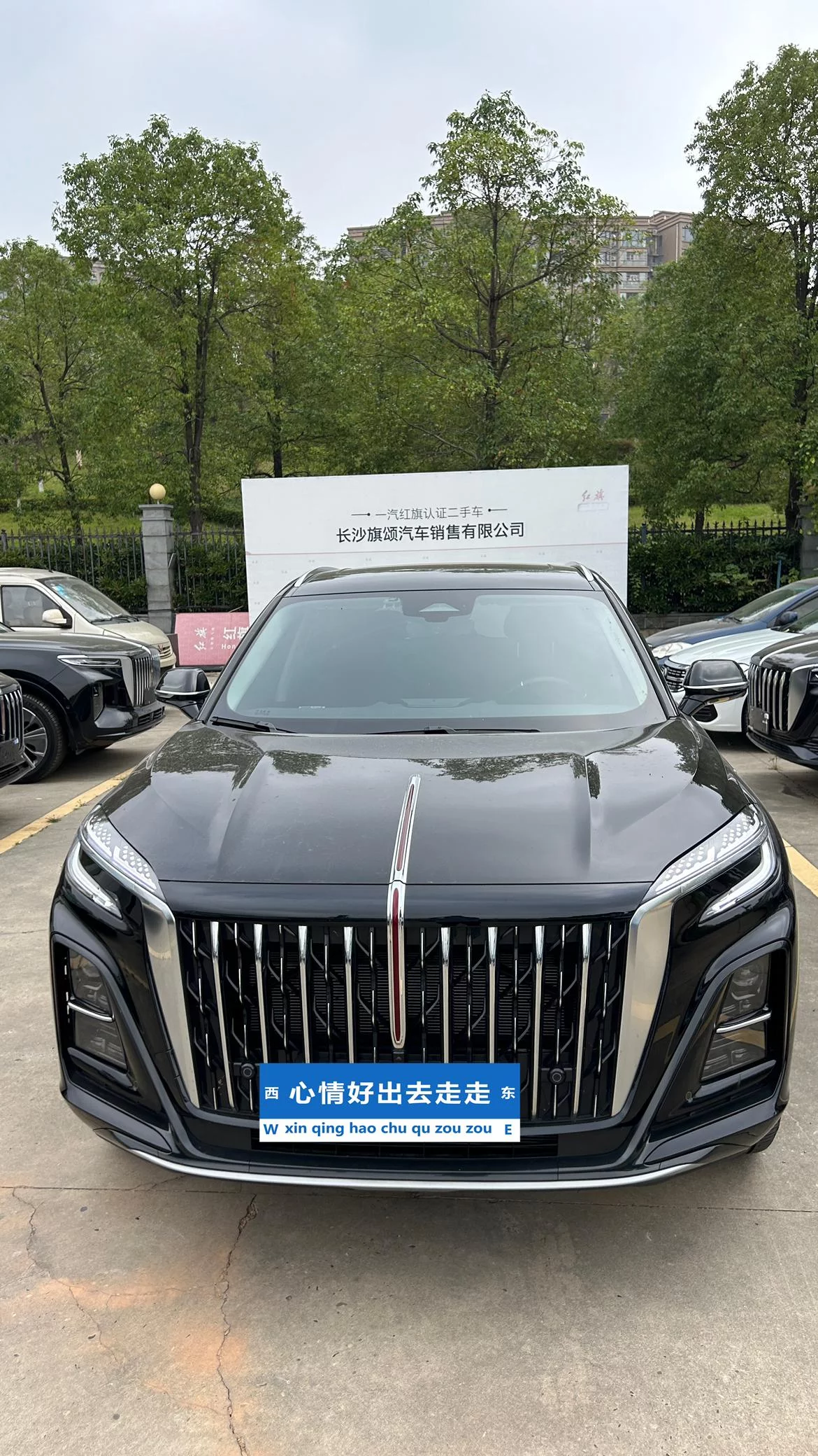 Hongqi HS3