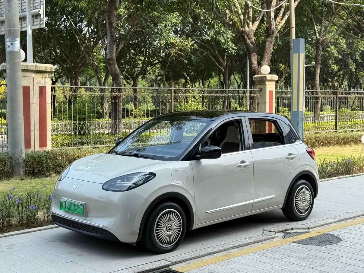 Wuling Bingo