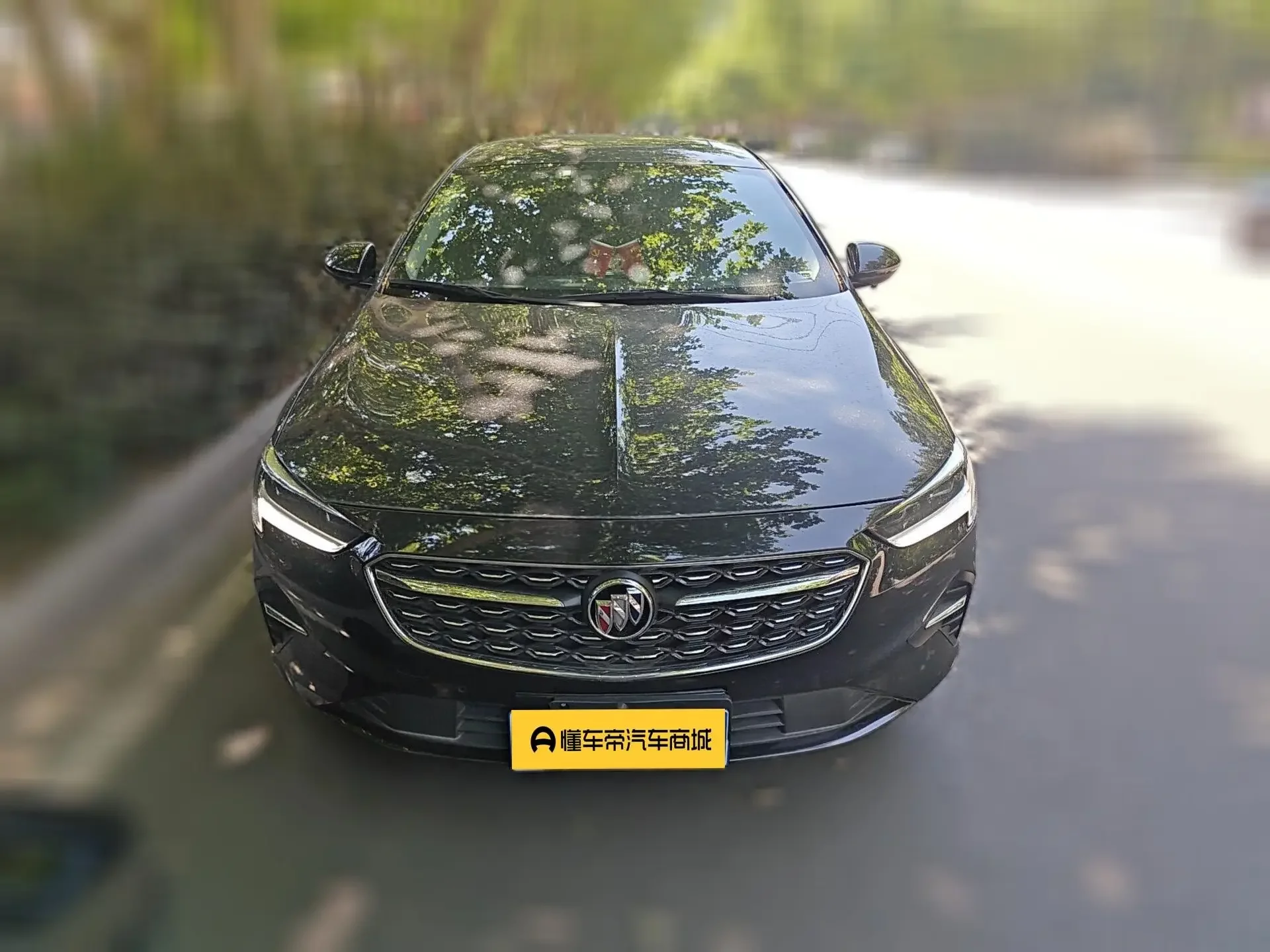 Buick Majesty
