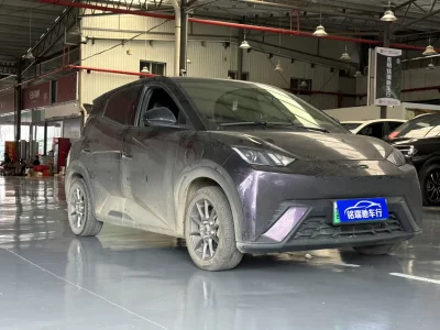 BYD Seagull