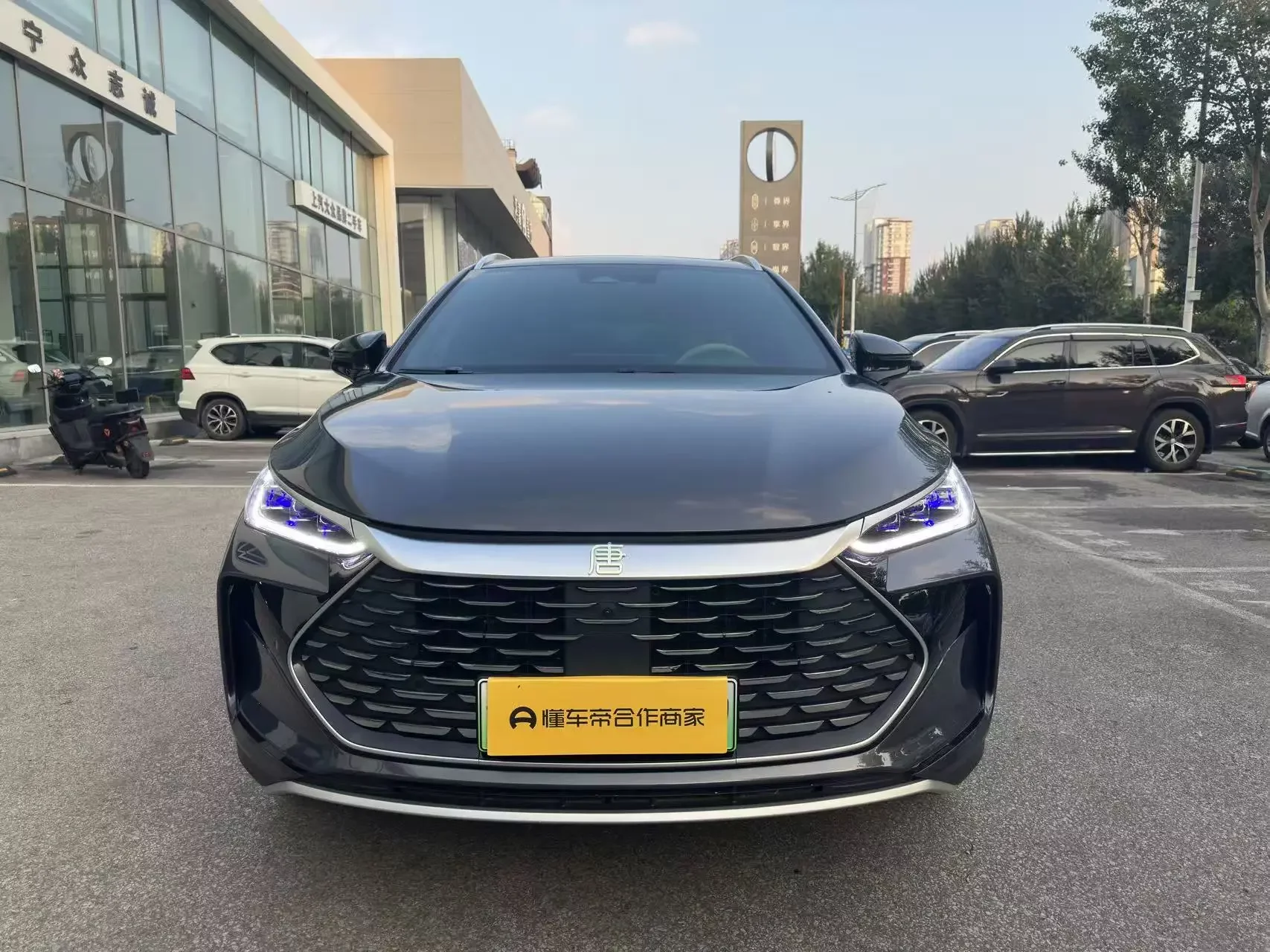 BYD Tang DM