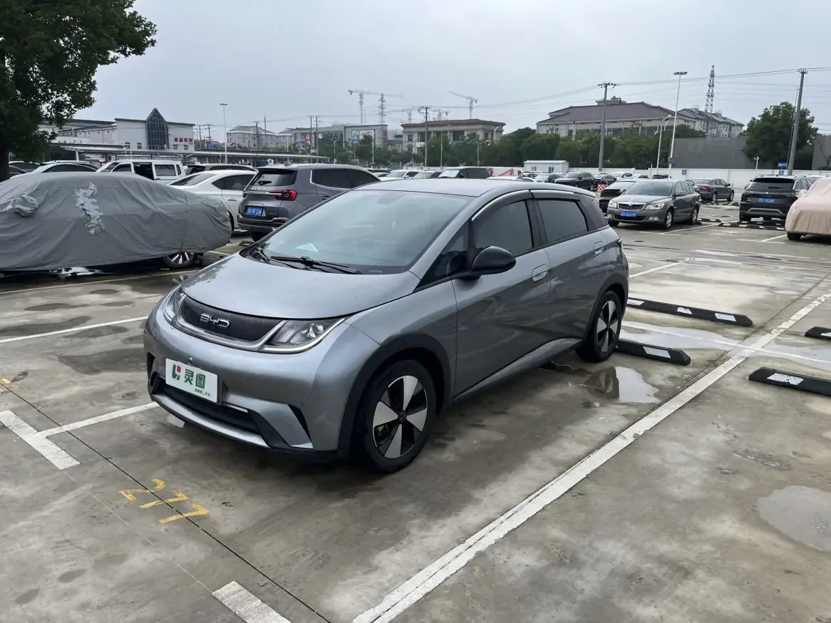 BYD Dolphin