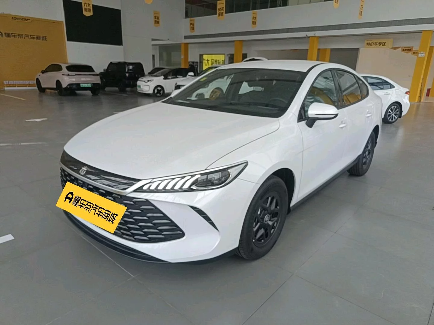 BYD Qin PLUS DM