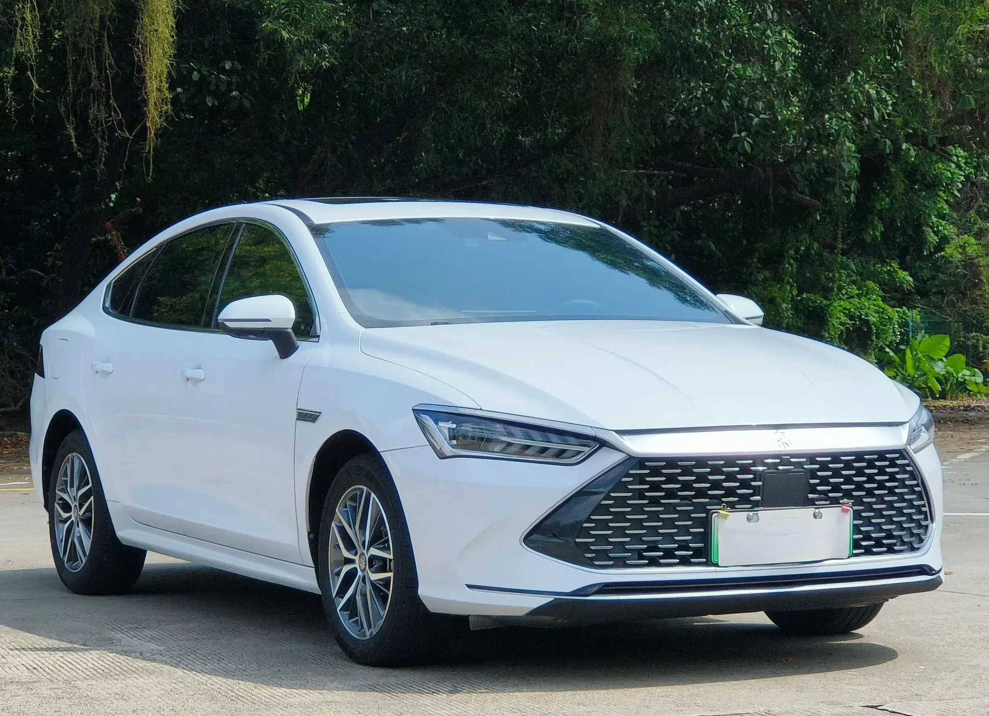 BYD Qin PLUS DM