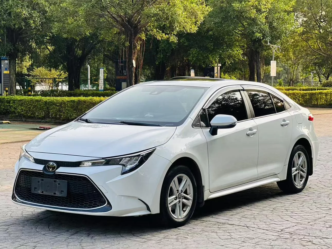 Toyota Levin