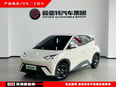 BYD Seagull