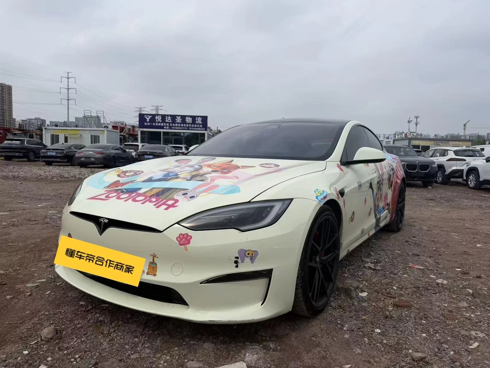 TESLA MODEL S