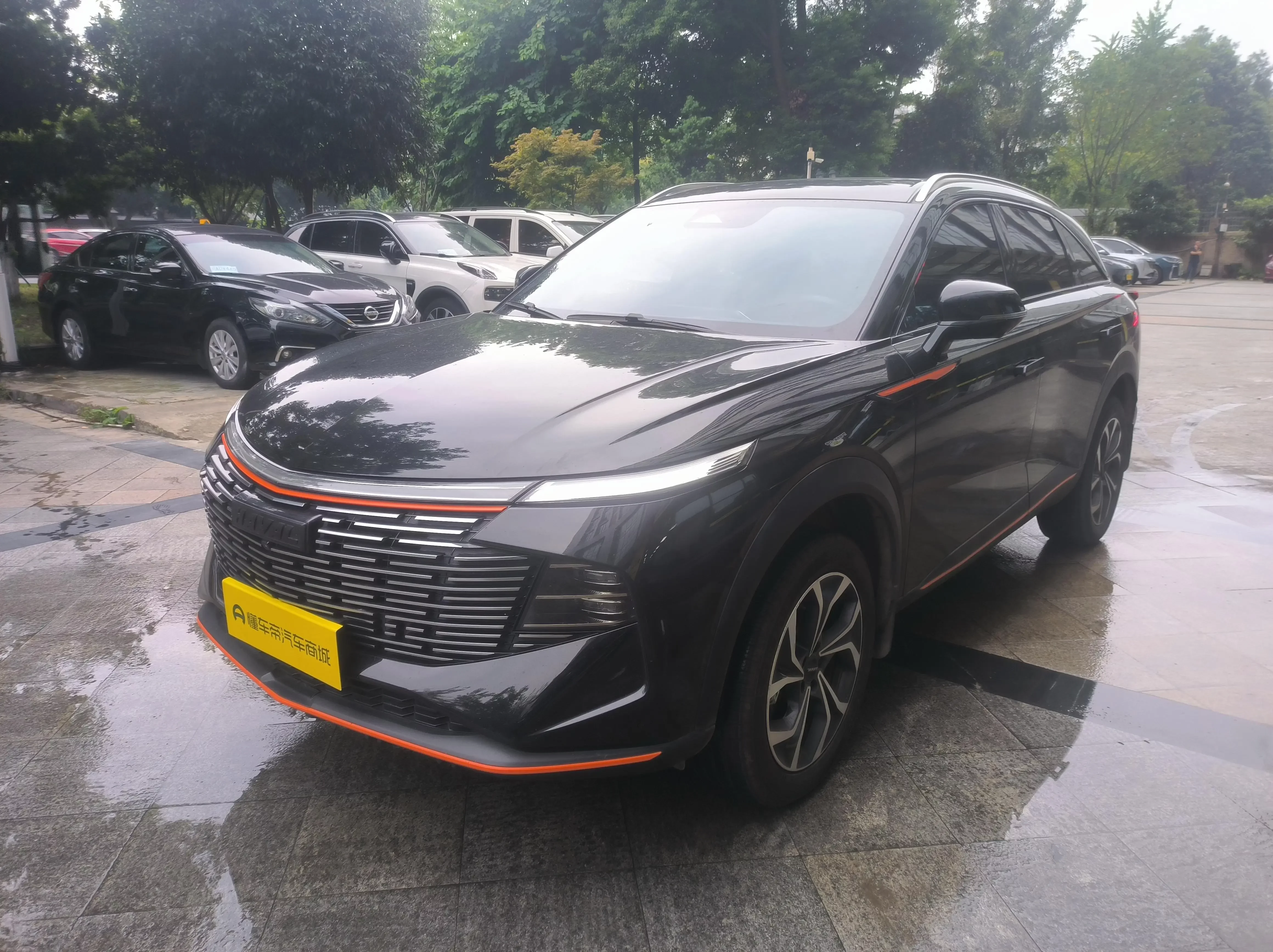 Haval Shenshou