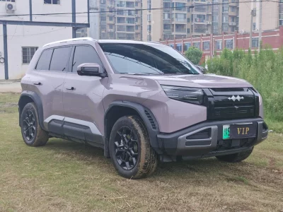 BYD Leopard Titanium 3