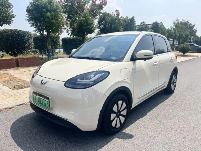 Wuling Bingo