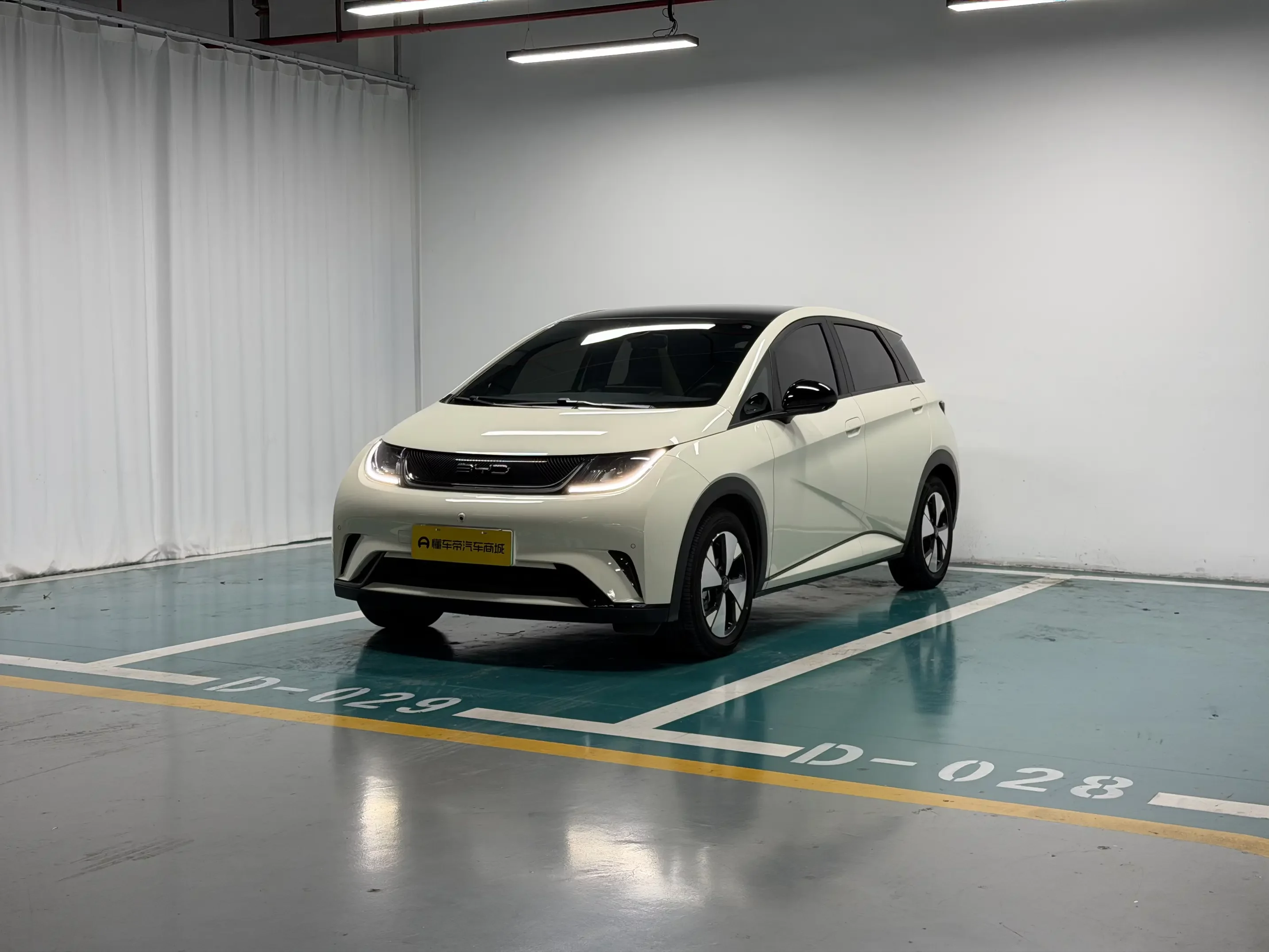 BYD Dolphin