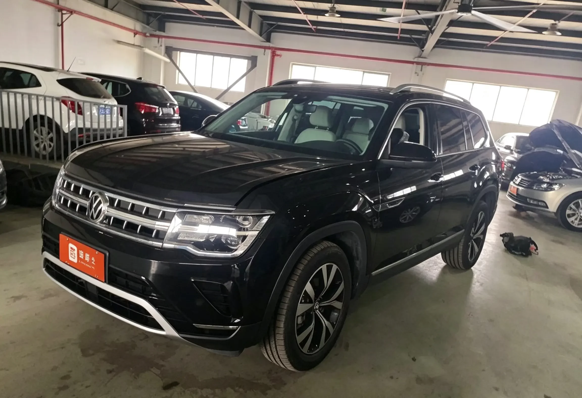 VOLKSWAGEN TERAMONT
