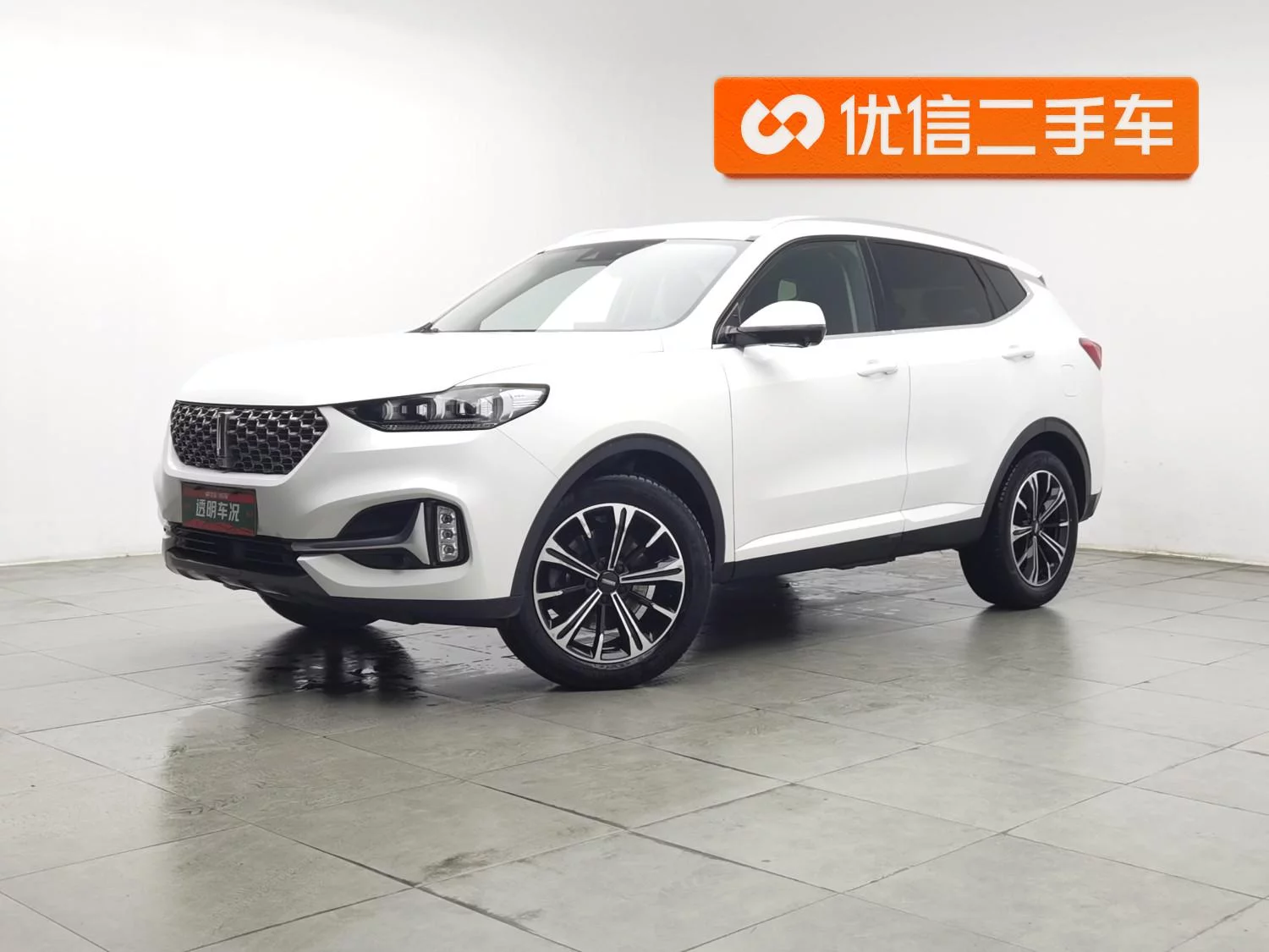 Wey Wei brand VV6