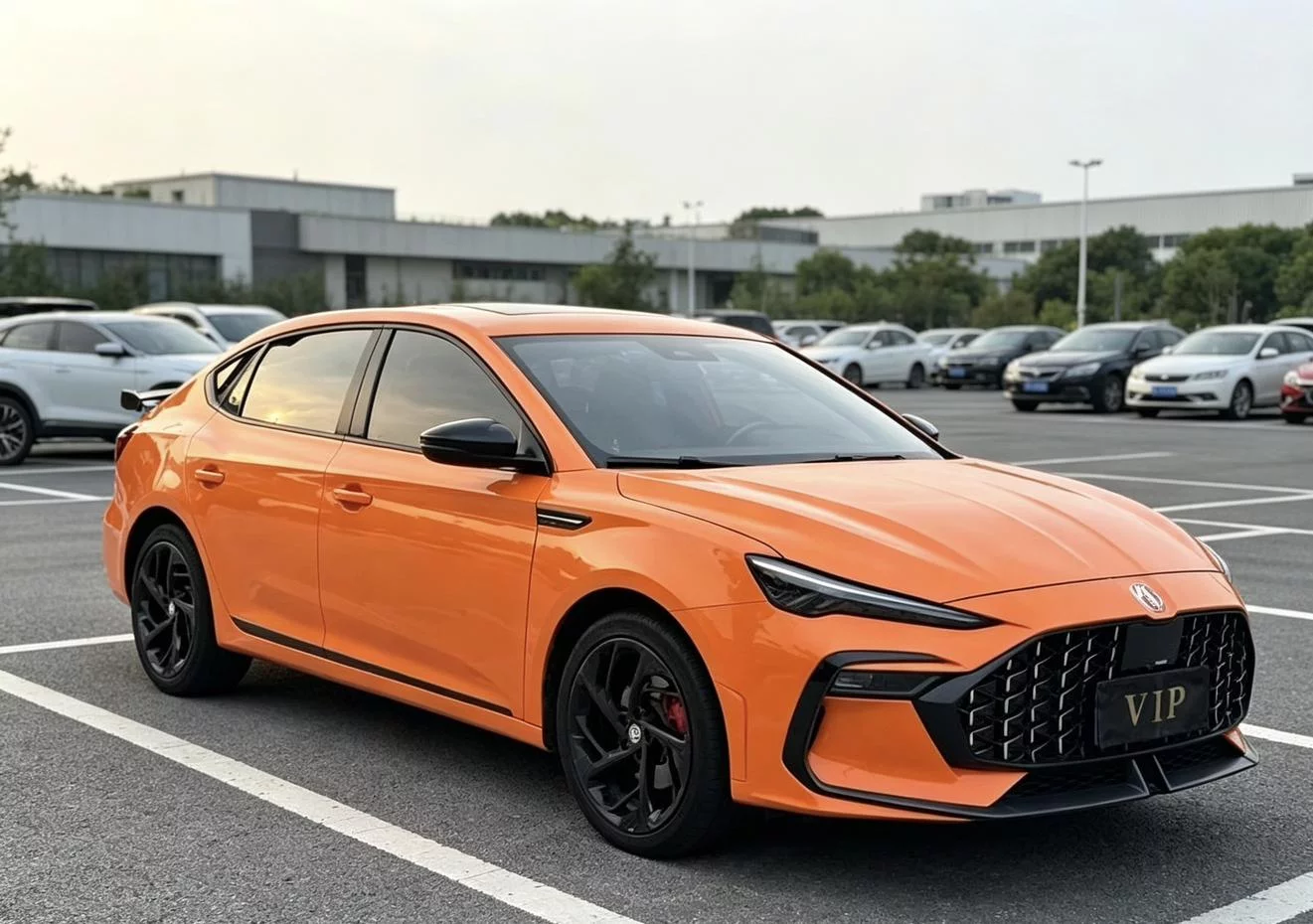 MG 6