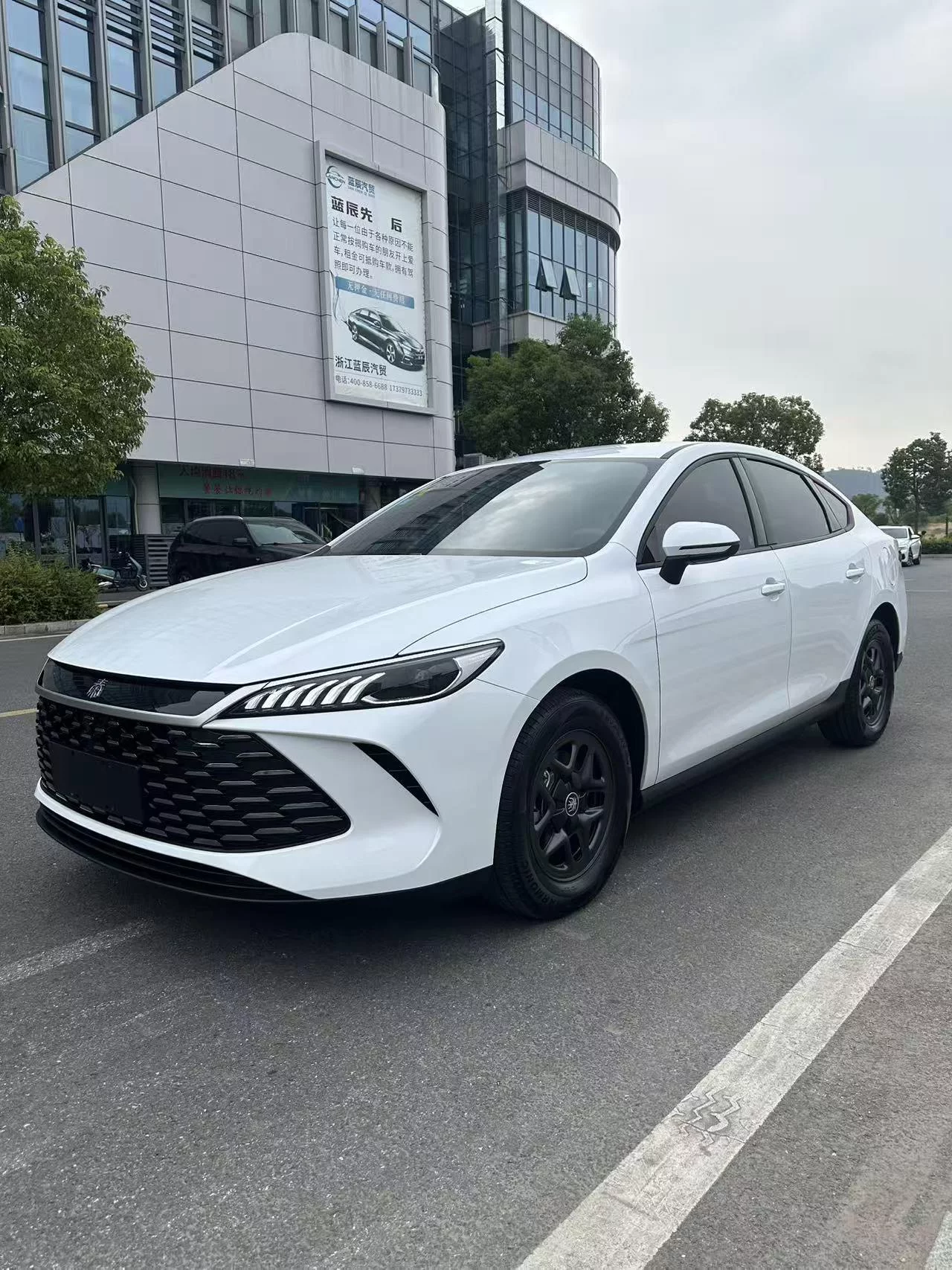 BYD Qin PLUS DM