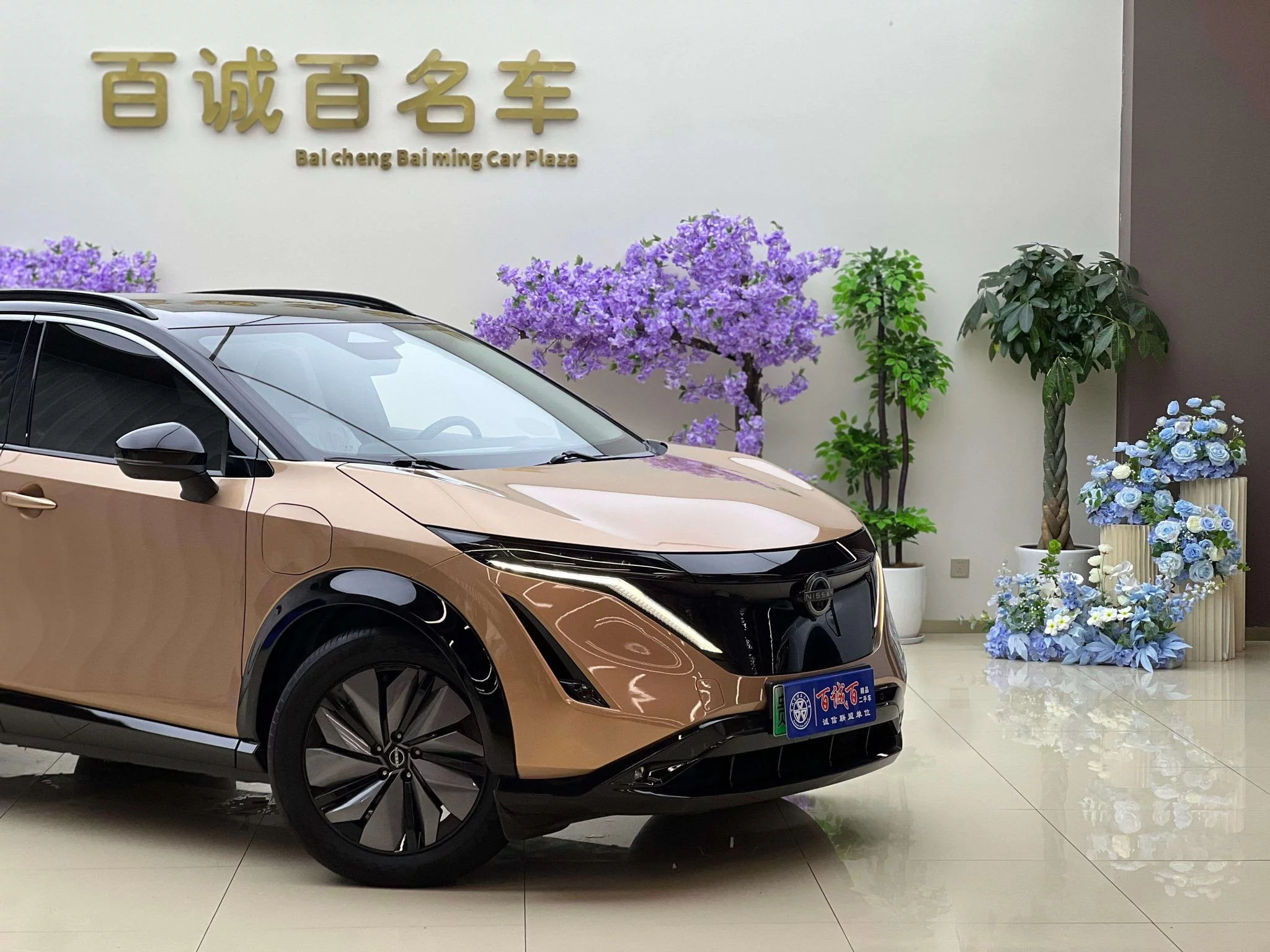 Nissan ARIYA