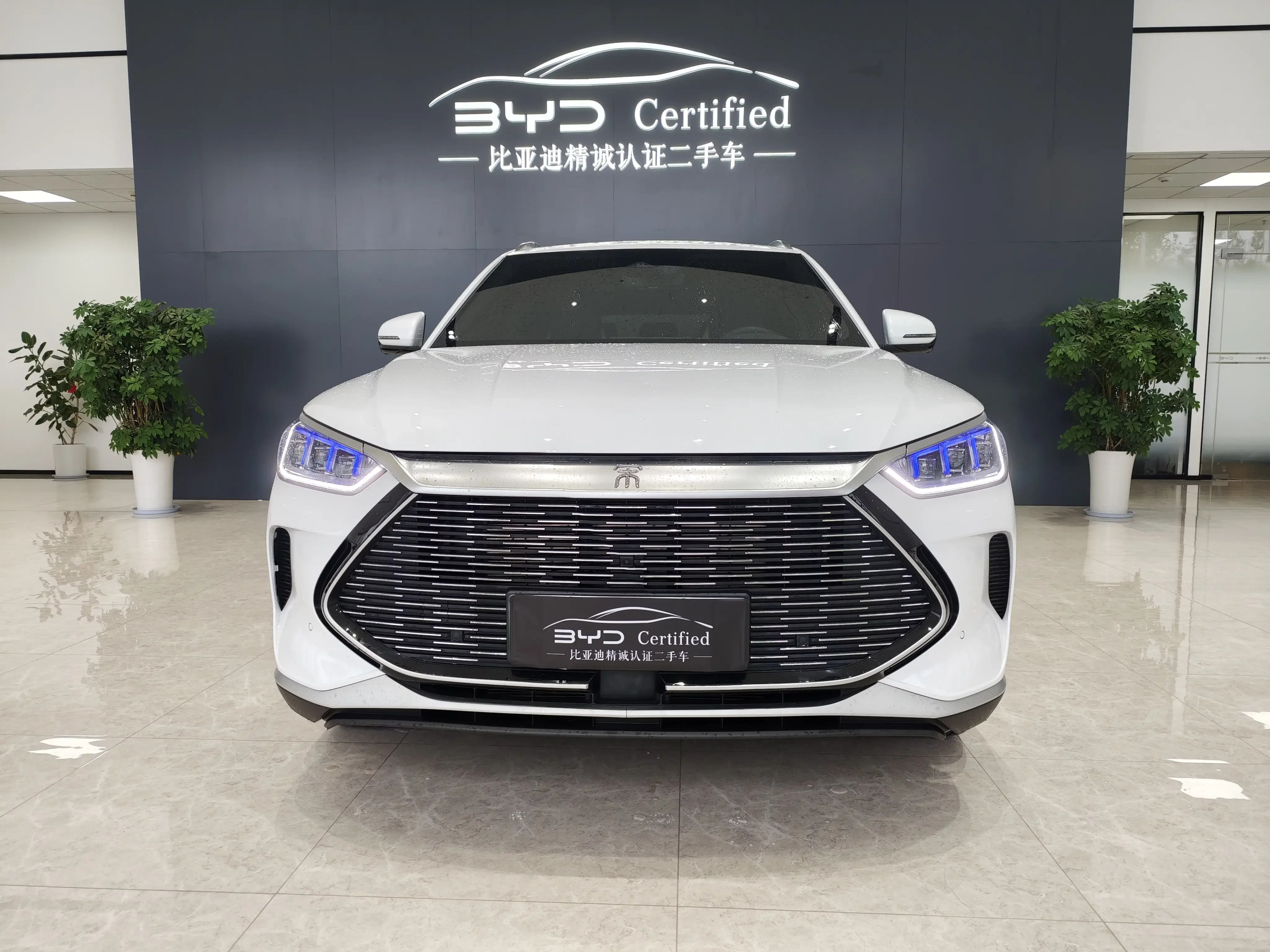 BYD Song PLUS DM