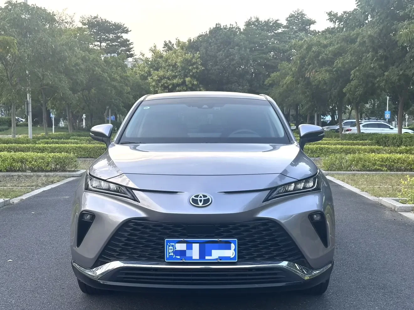 Toyota Venza