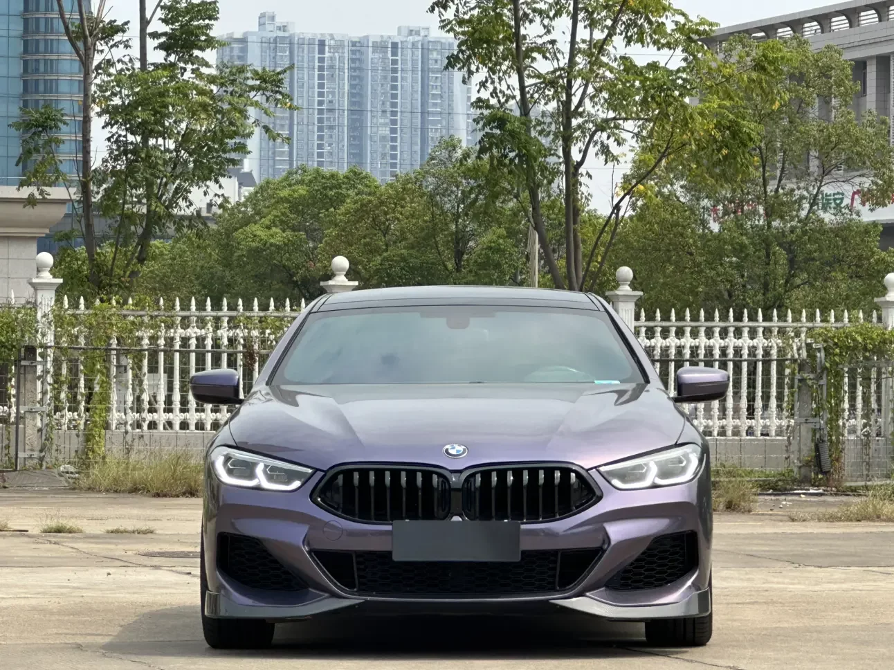 BMW 8 Series