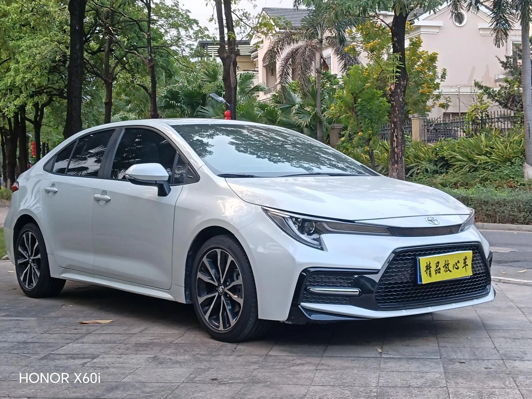 Toyota Levin