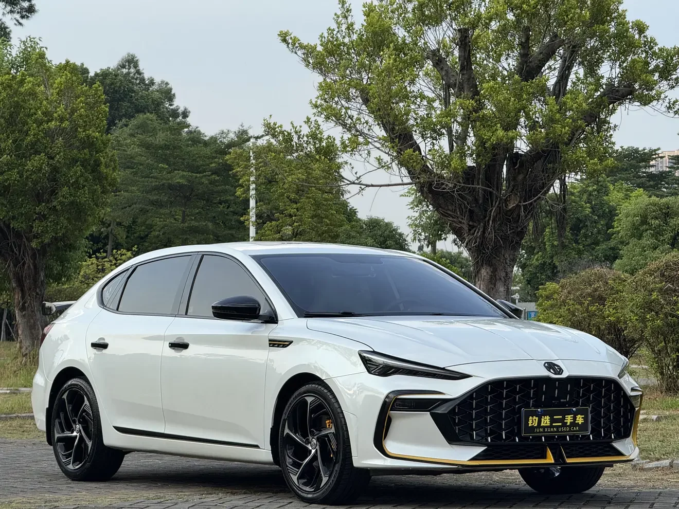 MG 6