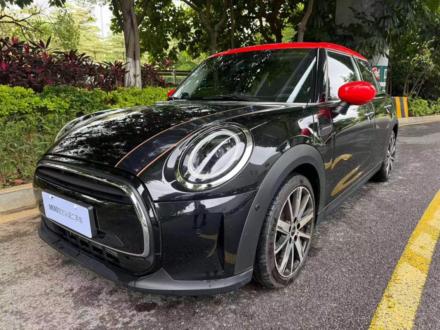 MINI MINI