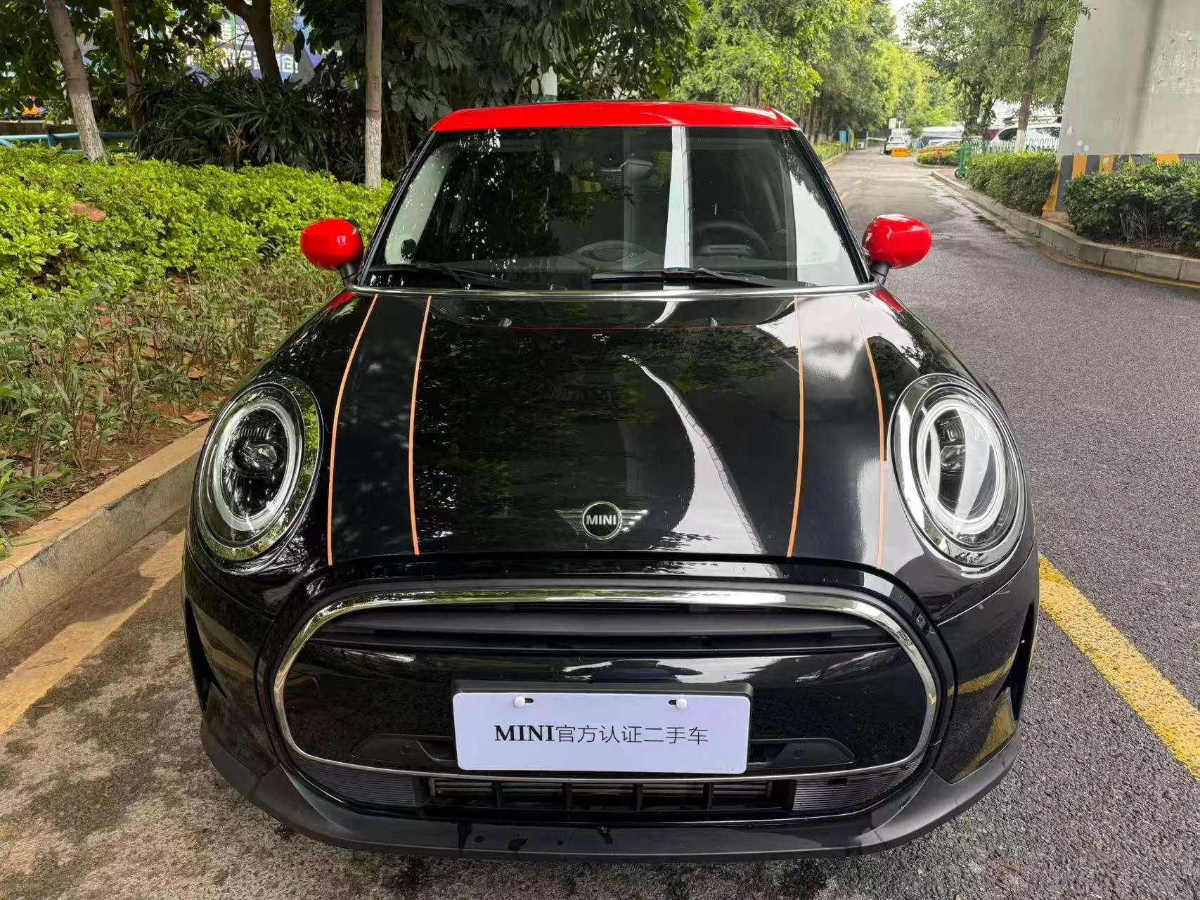 MINI MINI