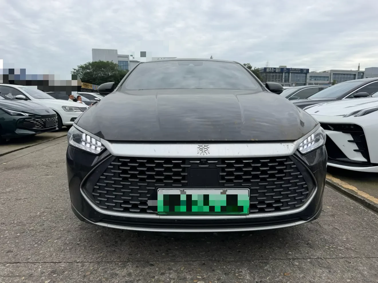 BYD Qin PLUS DM