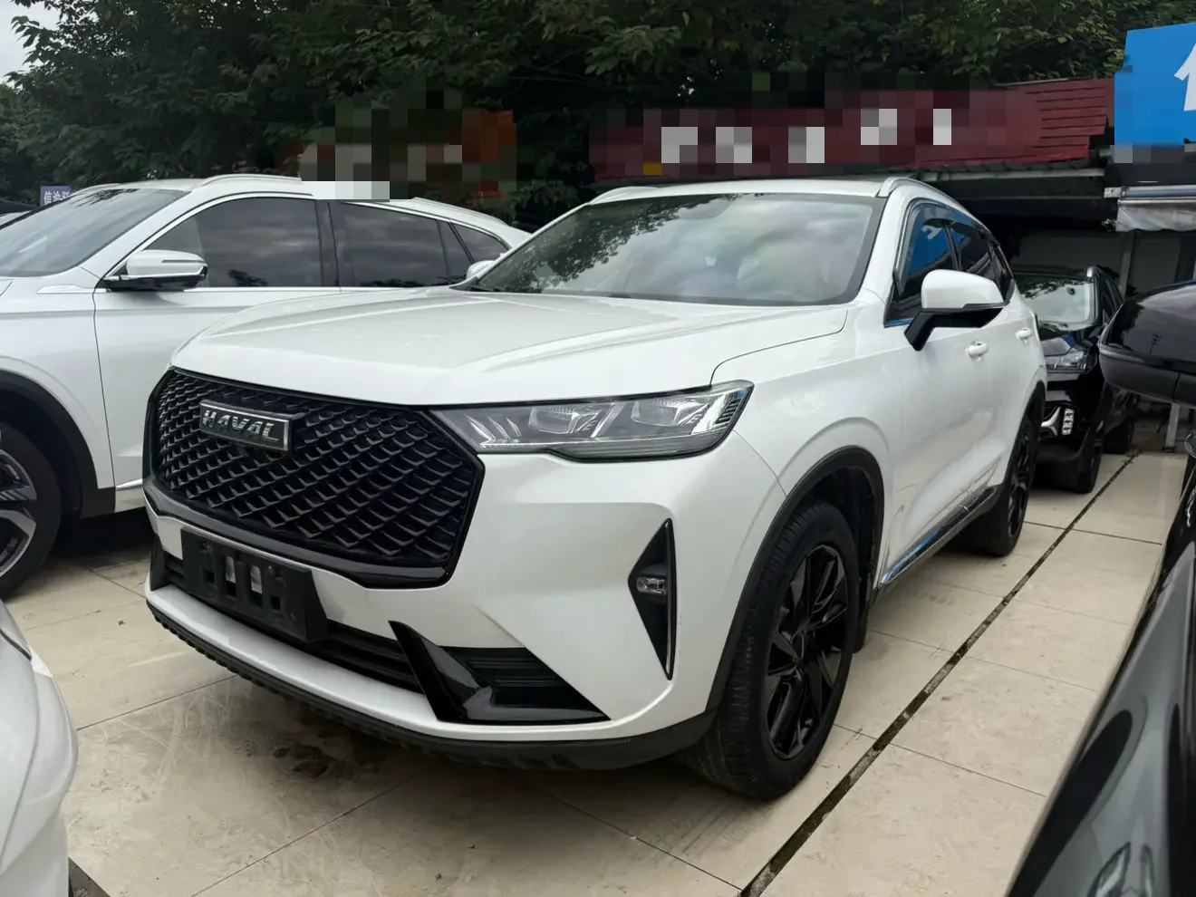 Haval H6
