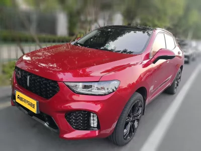 Wey Wei brand VV5
