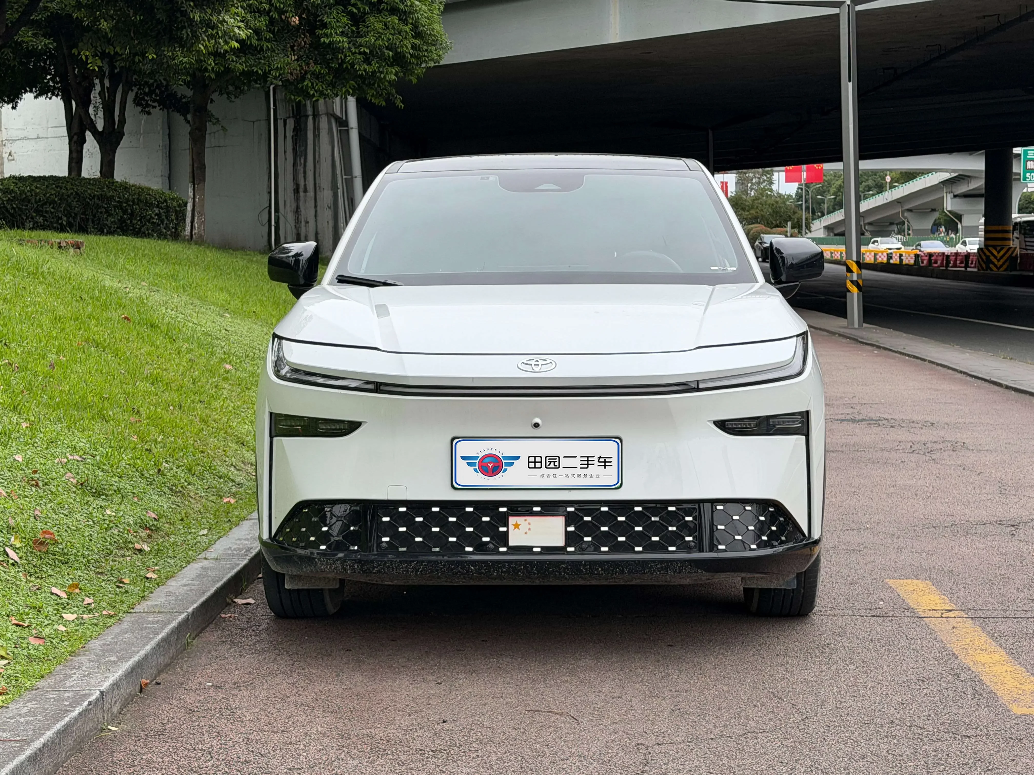 Toyota Bozhi 3X