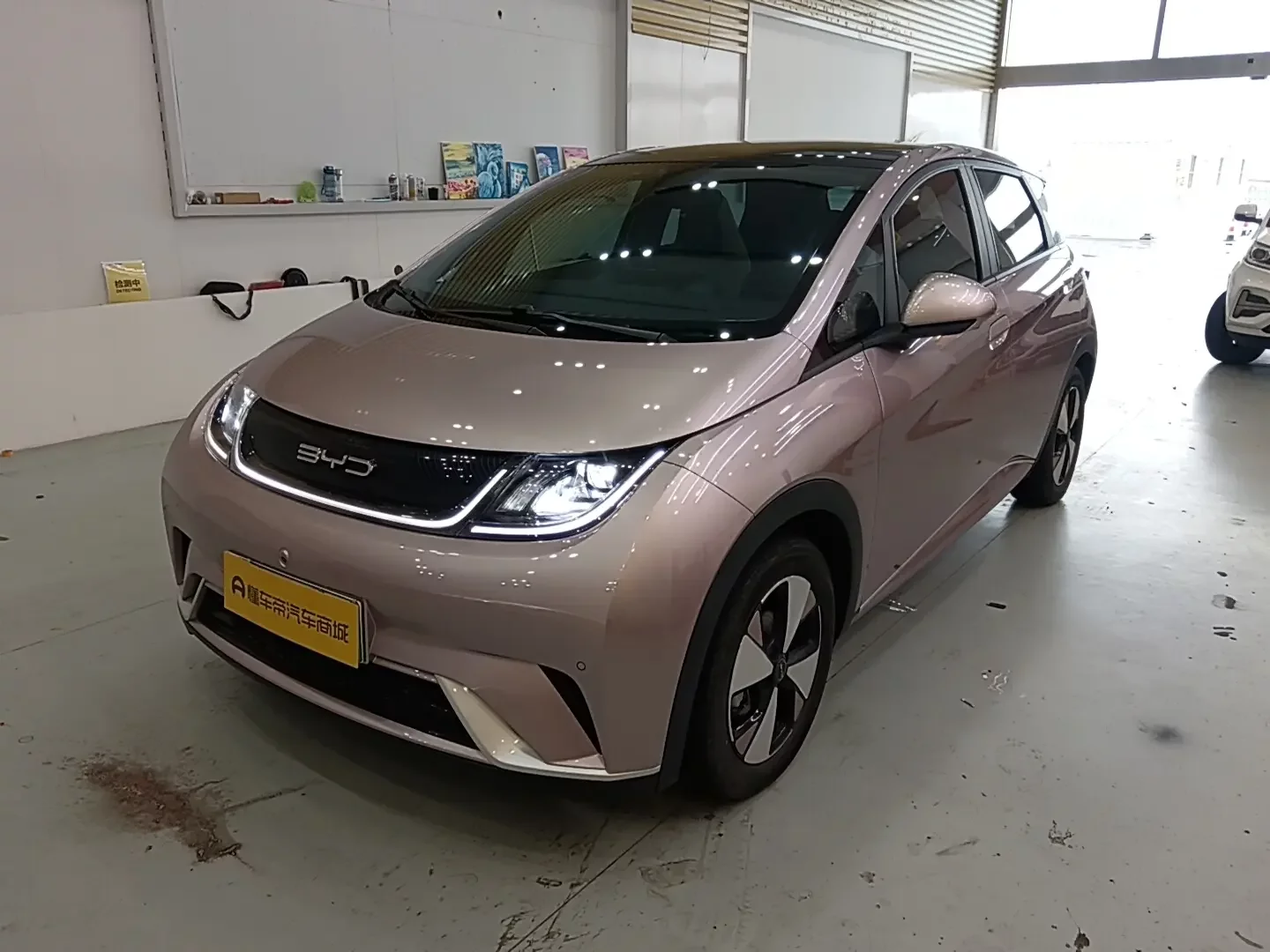 BYD Dolphin