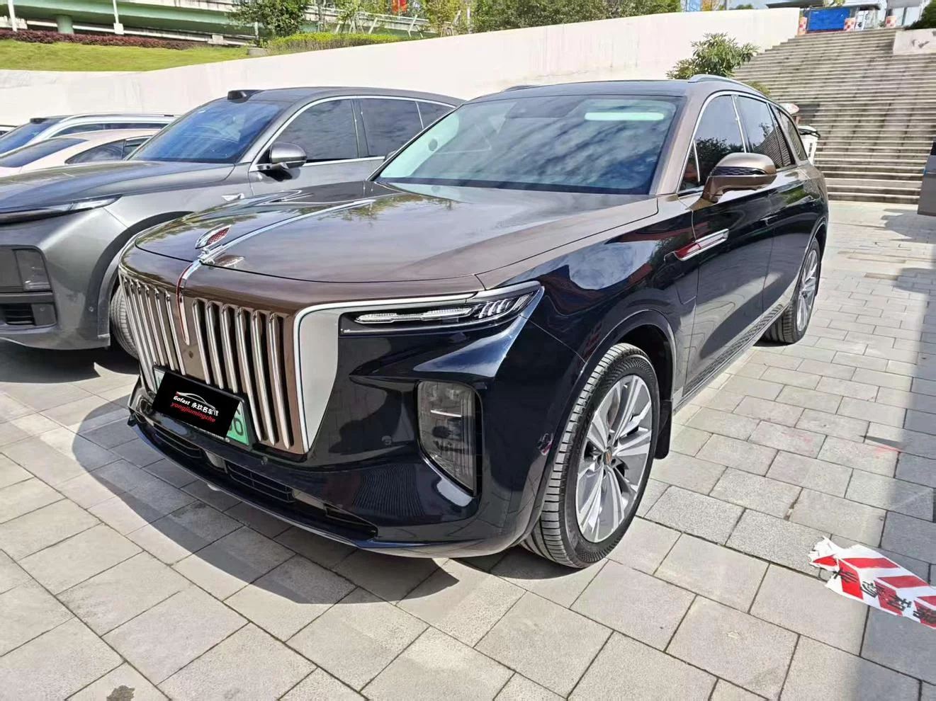 Hongqi E-HS9