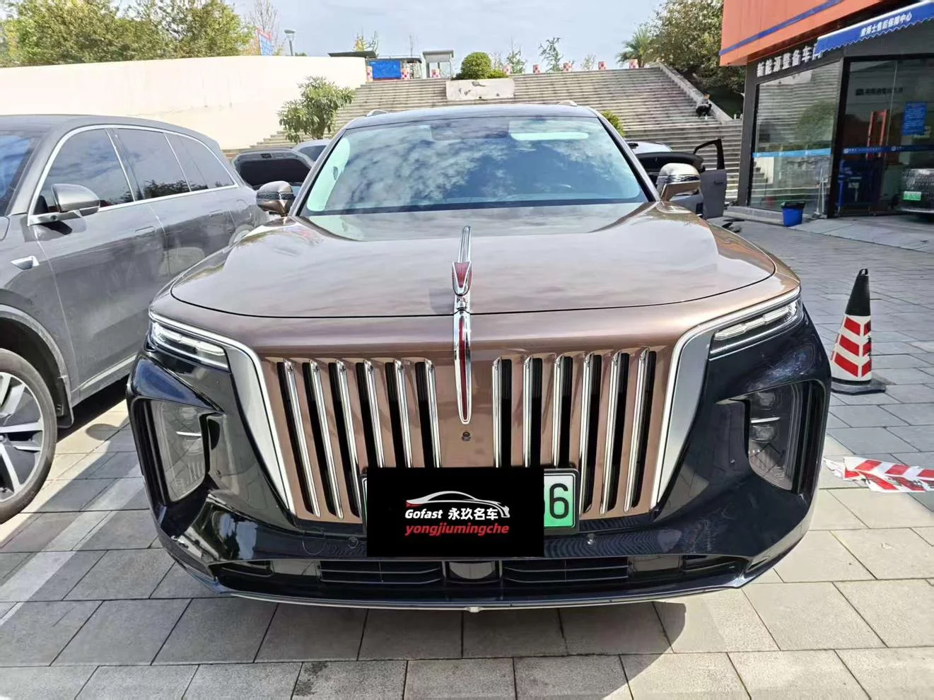 Hongqi E-HS9