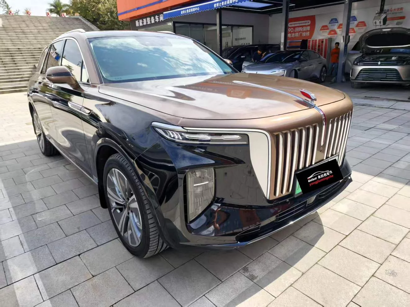 Hongqi E-HS9